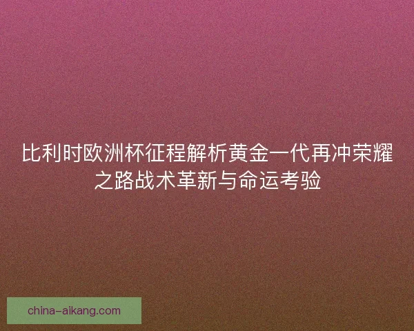比利时欧洲杯征程解析黄金一代再冲荣耀之路战术革新与命运考验